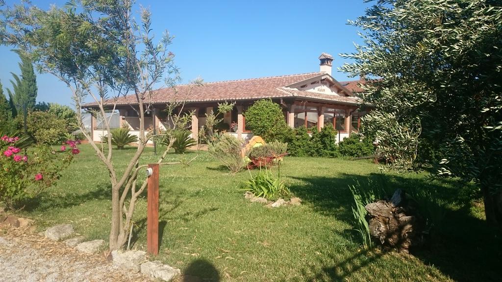 Villa La Piana Di Alsium Ladispoli Exterior foto
